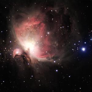 黑人变态深video特大巨大
