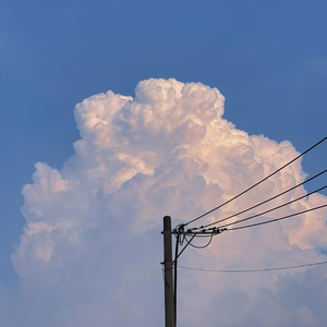 黑人变态深video特大巨大
